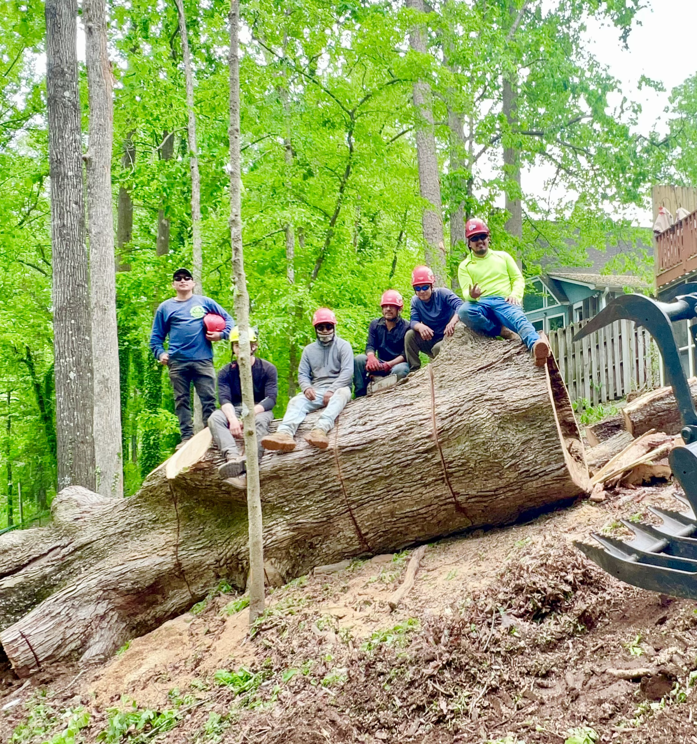 A tree crew on a very large log in Cherrylog, GA.
