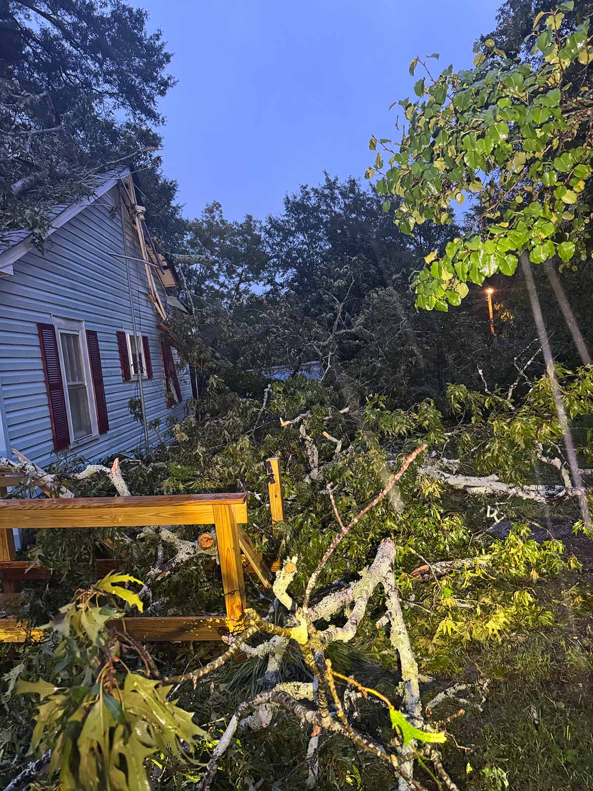 Fallen trees in the Dawsonville area from storm damage.