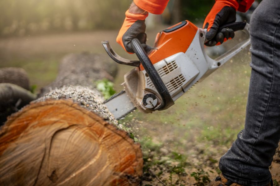 A certified arborist with a chainsaw cutting a large log.